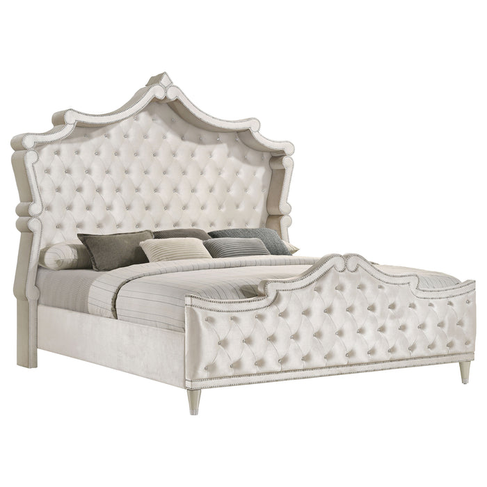Antonella Beds - Bargain Furniture (Detroit, MI)