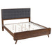 Robyn California King, E.King, & Queen Bed with Upholstered Headboard Dark Walnut - Bargain Furniture (Detroit, MI)