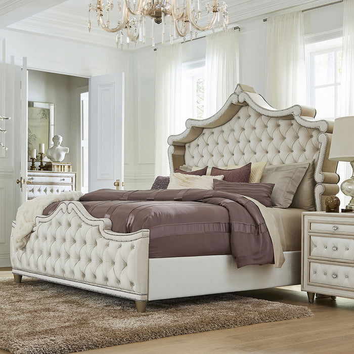Antonella Beds - Bargain Furniture (Detroit, MI)