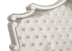 Antonella Beds - Bargain Furniture (Detroit, MI)