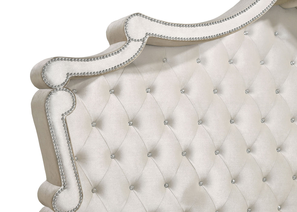 Antonella Beds - Bargain Furniture (Detroit, MI)