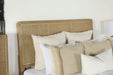Arini Upholstered Panel Bed - Bargain Furniture (Detroit, MI)