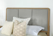 Arini Upholstered Panel Bed - Bargain Furniture (Detroit, MI)