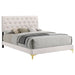 Kendall Panel Bed White - Bargain Furniture (Detroit, MI)