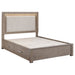 Kenora California King, E.king, & Queen Bed - Bargain Furniture (Detroit, MI)