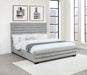 Patricia Beds - Bargain Furniture (Detroit, MI)