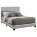 Dorian Upholstered California King, E.King, & Queen Bed Black, Brown, & Grey - Bargain Furniture (Detroit, MI)