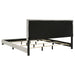 Dorian Panel Beds - Bargain Furniture (Detroit, MI)