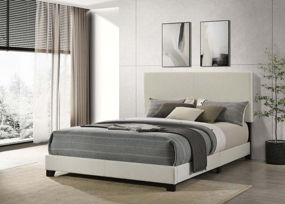 Dorian Panel Beds - Bargain Furniture (Detroit, MI)