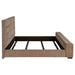 Senna Beds - Bargain Furniture (Detroit, MI)