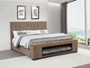 Senna Beds - Bargain Furniture (Detroit, MI)