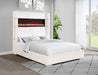 Tisdall Beds - Bargain Furniture (Detroit, MI)