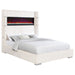 Tisdall Beds - Bargain Furniture (Detroit, MI)