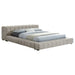 Trinity California King, E.king, Queen, & Full Bed Green & Light Taupe - Bargain Furniture (Detroit, MI)