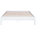 Hounslow Platform Bases - Bargain Furniture (Detroit, MI)