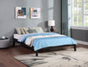 Hounslow Universal Platform Bed - Bargain Furniture (Detroit, MI)