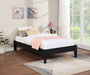 Hounslow Universal Platform Bed - Bargain Furniture (Detroit, MI)