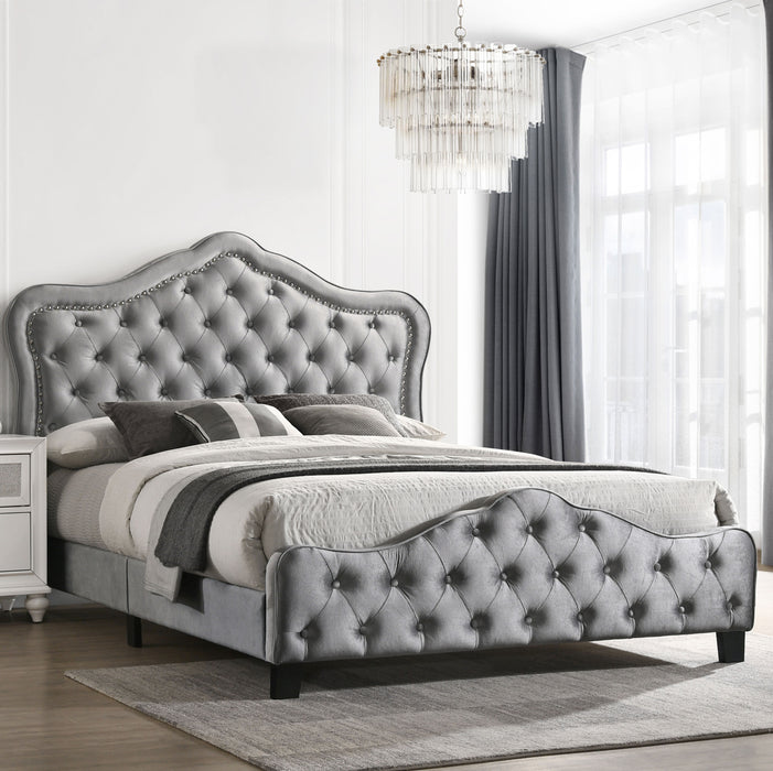 Bella Beds Cal.King & E.King, Queeen - Bargain Furniture (Detroit, MI)