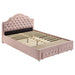 Ashleigh Full & Twin Bed - Bargain Furniture (Detroit, MI)