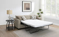Storey Sleeper Sectionals - Bargain Furniture (Detroit, MI)