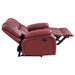 Camila Reclining Sets - Bargain Furniture (Detroit, MI)