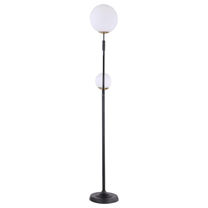 Dacki Floor Lamp