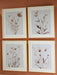 Chettings Wall Art (Set of 4) - Bargain Furniture (Detroit, MI)