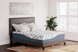 14 Inch Chime Elite 2.0 Mattress - Bargain Furniture (Detroit, MI)