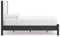 Cadmori Upholstered Bed - Bargain Furniture (Detroit, MI)