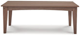 Emmeline Outdoor Seating Set - Bargain Furniture (Detroit, MI)