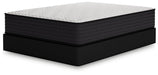 Limited Edition Plush Mattress - Bargain Furniture (Detroit, MI)