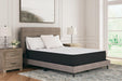 Limited Edition Plush Mattress - Bargain Furniture (Detroit, MI)