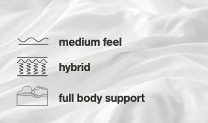 Chime 10 Inch Hybrid 10 Inch Mattress and Pillow - Bargain Furniture (Detroit, MI)