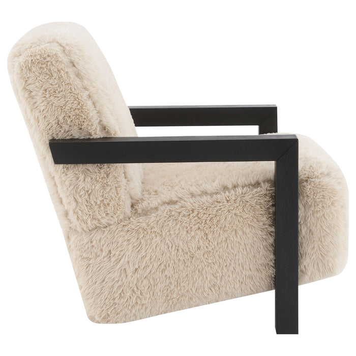 Fitzroy Accent Chairs - Bargain Furniture (Detroit, MI)
