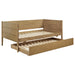 Calinda Daybeds - Bargain Furniture (Detroit, MI)