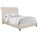 Devon Queen Beds - Bargain Furniture (Detroit, MI)