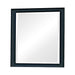 Sandy Beach Vertical Dresser Mirror Black - Bargain Furniture (Detroit, MI)