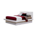 Jessica Queen Platform Bed with Rail Seating White - Bargain Furniture (Detroit, MI)