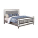 Leighton Full Panel Bed with Mirrored Accents Mercury Metallic - Bargain Furniture (Detroit, MI)