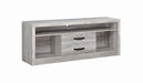 Burke 2-drawer TV Console Grey Driftwood - Bargain Furniture (Detroit, MI)