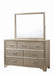 Beaumont Rectangular Dresser Mirror Champagne - Bargain Furniture (Detroit, MI)