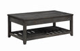 Cliffview Lift Top Coffee Table with Storage Cavities Grey - Bargain Furniture (Detroit, MI)