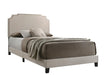 Tamarac Upholstered Nailhead Full, Eastern King & Queen Bed Beige & Grey - Bargain Furniture (Detroit, MI)