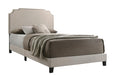 Tamarac Upholstered Nailhead Full, Eastern King & Queen Bed Beige & Grey - Bargain Furniture (Detroit, MI)