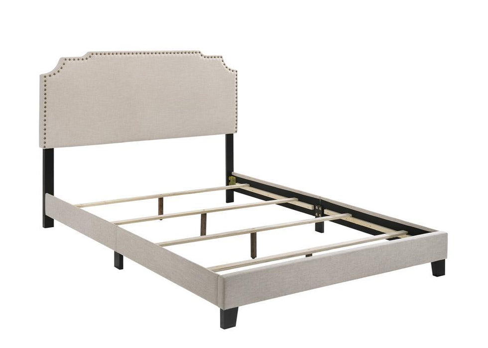 Tamarac Upholstered Nailhead Full, Eastern King & Queen Bed Beige & Grey - Bargain Furniture (Detroit, MI)