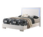 Felicity Full & Twin Panel Bed with LED Lighting Glossy White - Bargain Furniture (Detroit, MI)