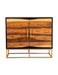 Zara 2-door Accent Cabinet Black Walnut and Gold - Bargain Furniture (Detroit, MI)