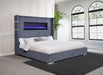 Tisdall California King, E.King & Queen Bed Grey, Black & Queen - Bargain Furniture (Detroit, MI)