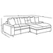 Blaine Stationary Sectionals - Bargain Furniture (Detroit, MI)