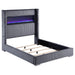 Tisdall California King, E.King & Queen Bed Grey, Black & Queen - Bargain Furniture (Detroit, MI)